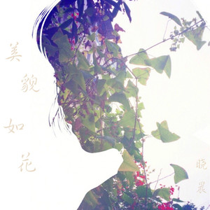 美貌如花