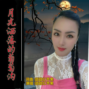 月光洒落的葡萄沟