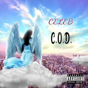 C.O.D Celeb On Deck (feat. Mr. Rockit) [Explicit]