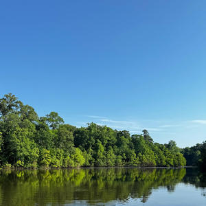 Watch it (feat. DxCM, PBG Teebandz, PBG Los, Tra5ive & TayydaRealist) (Explicit)