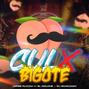 Culx Bigote (feat. Jose Dolche)