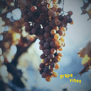 Grape Vines (Explicit)