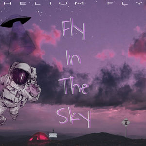 Fly in the Sky (Explicit)