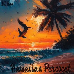 Hawaiian Percocet (Explicit)