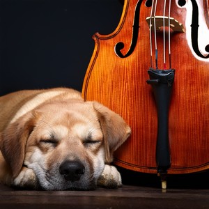 The Loyal Companion