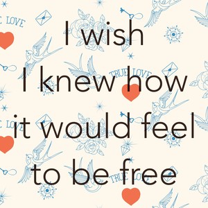 I Wish I Knew How It Would Feel to be Free