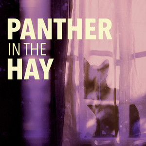 Panther in the Hay (Explicit)