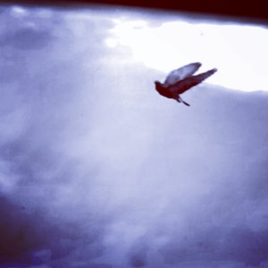 Сотри мою память