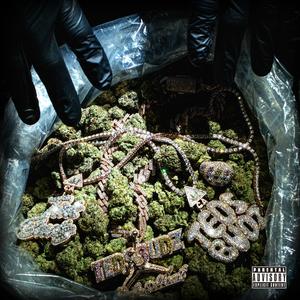 Ted's Budz Tape (Explicit)