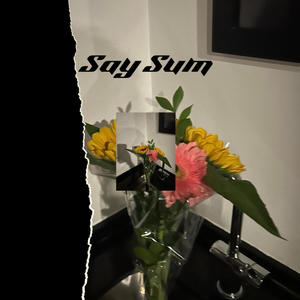 Say Sum (feat. Seclorum) [Explicit]