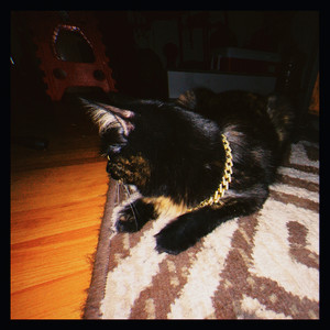 Canción para Sentirte Trillonario (Explicit)