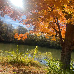 focused (feat. luh mann) (Explicit)