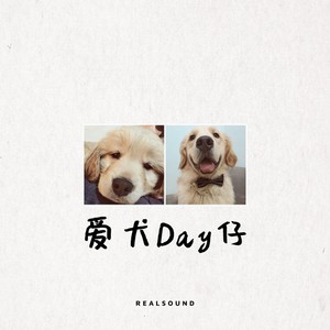 爱犬Day仔