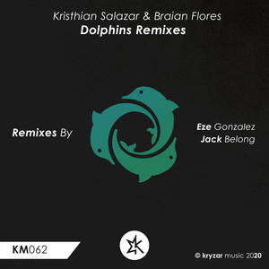 Dolphins (Jack Belong Remix)