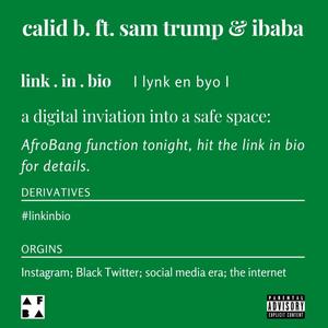 LINK IN BIO (feat. Sam Trump & Ibaba) [Explicit]