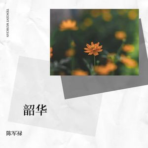 韶华