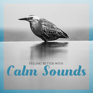 Feeling Better with Calm Sounds: New Age Sounds for Blissful Relaxation, Instrumental Melodies, Peaceful & Quiet Background Music, Nature Sounds