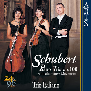 Piano Trio In E Flat Major Op. 100 D 929 - II. Andante Con Moto