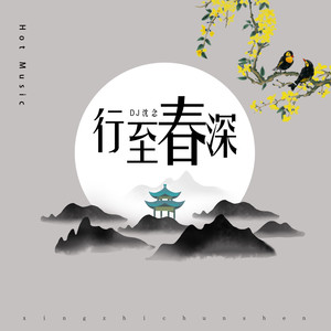 行至春深 (DJ沈念版)封面