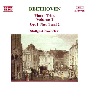 Piano Trio No. 1 in E-Flat Major, Op. 1, No. 1 - I. Allegro (第一乐章 快板)