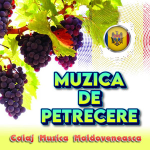 MUZICA DE PETRECERE - Colaj Muzica Moldoveneasca