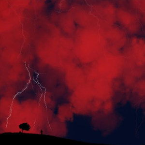 BANANAS FREESTYLE (Explicit)