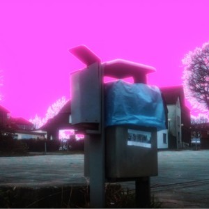 mit300kmhdurchdieseeiche