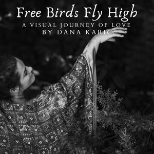 Free birds fly high: a visual journey of love by Dana Karic