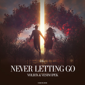 Never Letting Go (Original Mix)