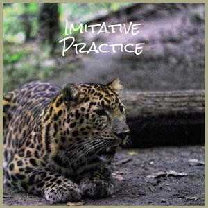 Imitative Practice