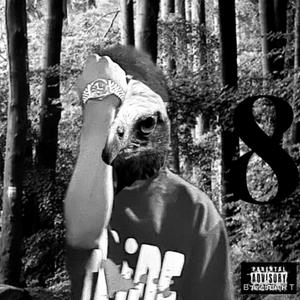 Fur coat (feat. Z33) (Explicit)
