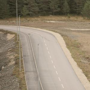 No Plans, Just Moving