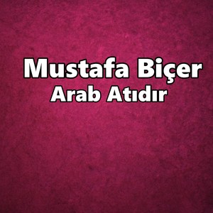 Arab Atıdır