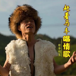 赶着马车唱情歌 (DJ何鹏版)
