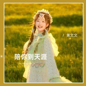 陪你到天涯封面