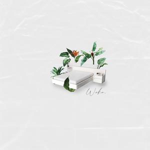 Wake (Explicit)