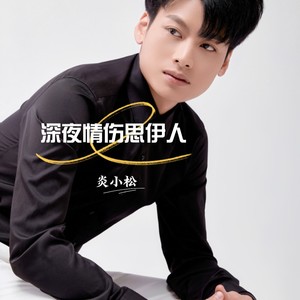 深夜情伤思伊人 (伴奏)