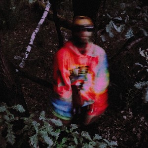 Диоксид (Explicit)