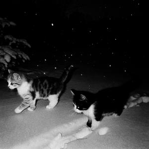 Hildir Svensson - Innocence (Explicit)