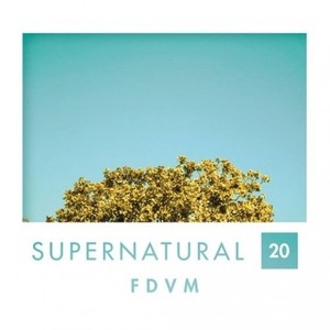 S u p e r n a t u r a l . 20 // FDVM