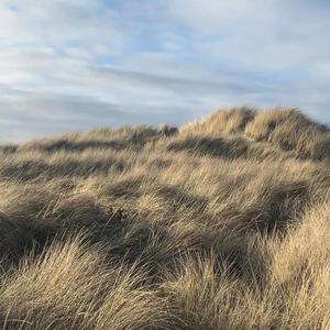 keep me from blowing away (Demo)