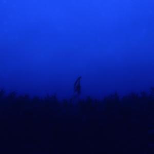 nefeli (instrumental)