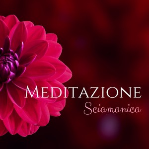 Meditazione Sciamanica - Canzoni Etniche per Trovare Spirito Guida e Animale