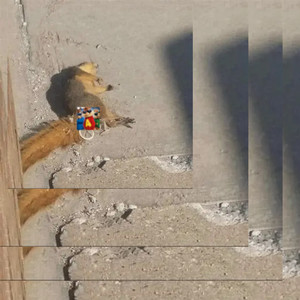 ALVIN I WIEFIURKI (Explicit)