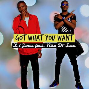 Got What You Want (feat. Nico D7 Sosa) (Explicit)