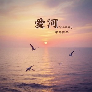 爱河 (DJ小拾版)封面