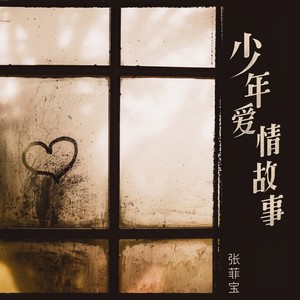 少年爱情故事
