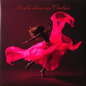 Perdu Dans Nos Ombres