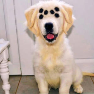 Martha Wayne's Lover (Explicit)