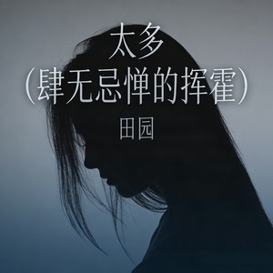 太多 (肆无忌惮的挥霍)封面